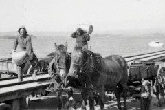 Te Whana Tawhiao and Maria Kuka with horses at the Matakana Island jetty.