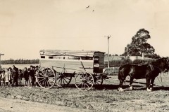 Horse-drawn school carriage used to transport children on Matakana Island, 1965.