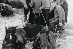 A horse-drawn carriage carrying a group to a hui on Matakana Island, 1959.