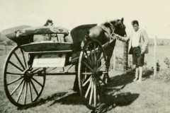 Taikato Murray with his horse Dobbin and cart on Matakana Island, c. 1950s.