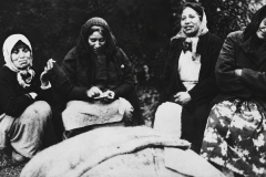 Moka Murray, Te Uta Mōtū, Te Niko Gardiner and Poihaere Te Tumu.